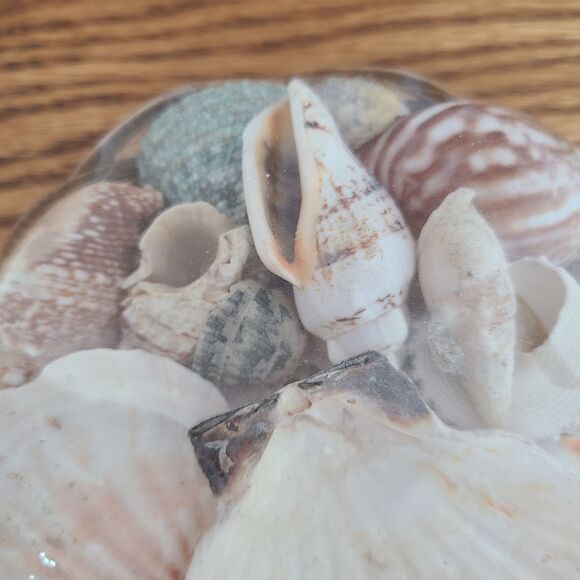 Seashells Basket - Mixed Assortment Sea Shells - Decor Or Crafting - Set of Two - Picture 4 of 10